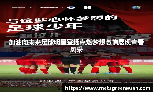 完美体育365平台官网