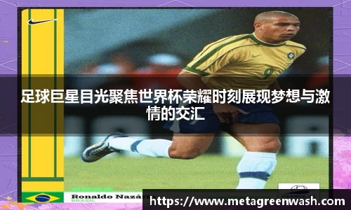 完美体育365平台官网